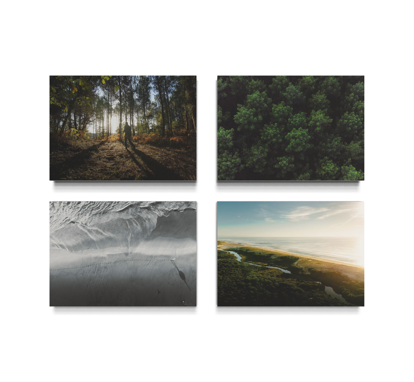 x4 POV LANDE Tableaux