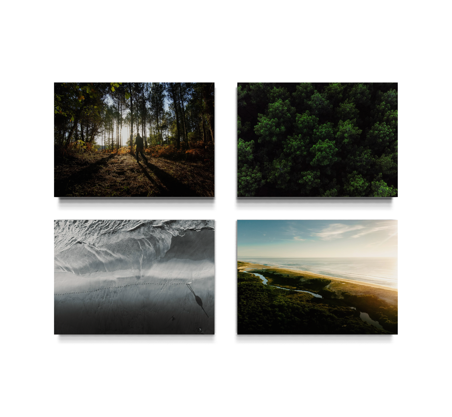 x4 POV LANDE Tableaux